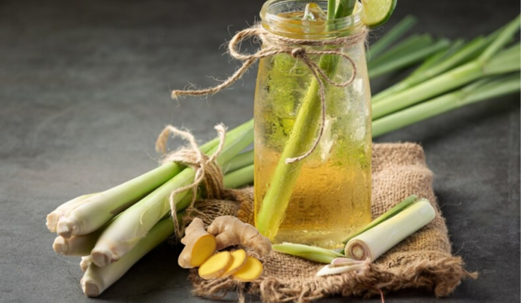 Xông vùng kín bằng lá tía tô