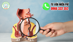 Địa chỉ khám chữa trĩ vĩnh long